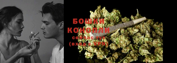 ПСИЛОЦИБИНОВЫЕ ГРИБЫ Карпинск
