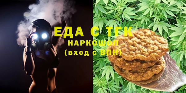 индика Касимов
