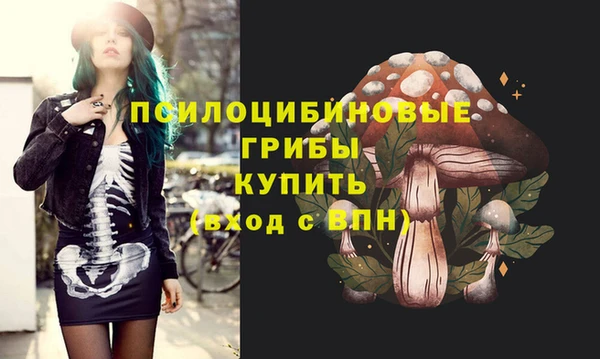 трава Киренск