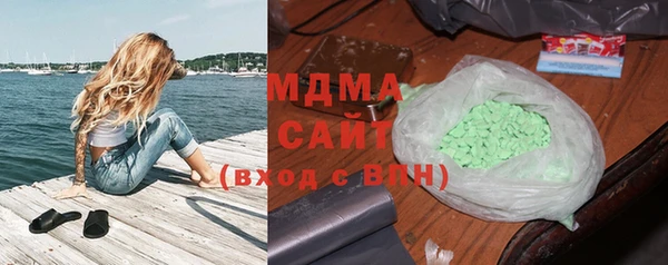 индика Богородицк