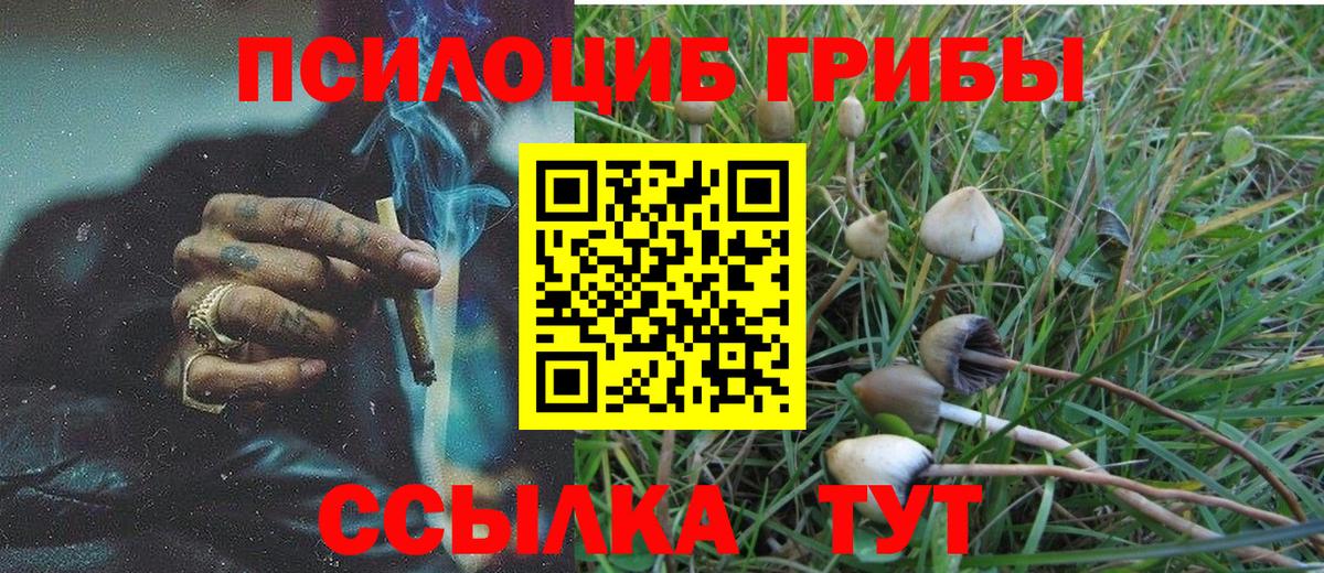 Галлюциногенные грибы мухоморы Нефтеюганск