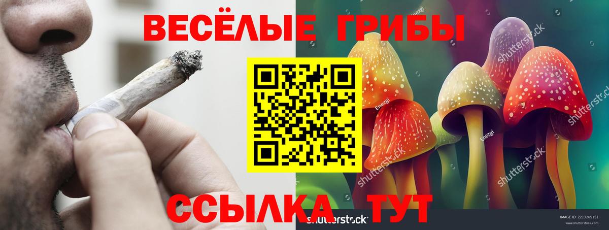 Нефтеюганск  Галлюциногенные грибы GOLDEN TEACHER  Вход с VPN  Псилоцибиновые грибы Psilocybe 